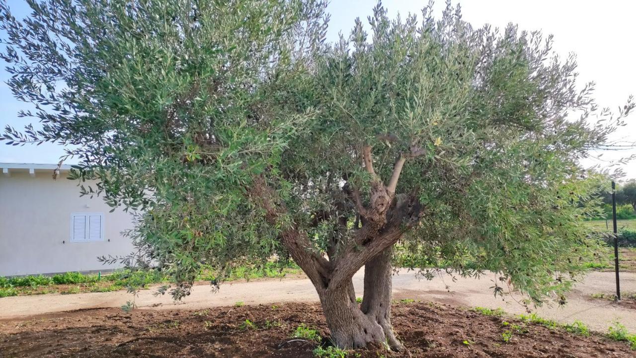 Вилла Le Zagare Di Vendicari Lido di Noto Экстерьер фото